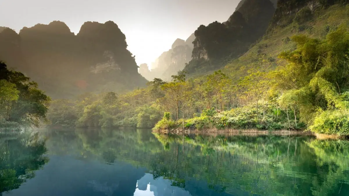 科技高效